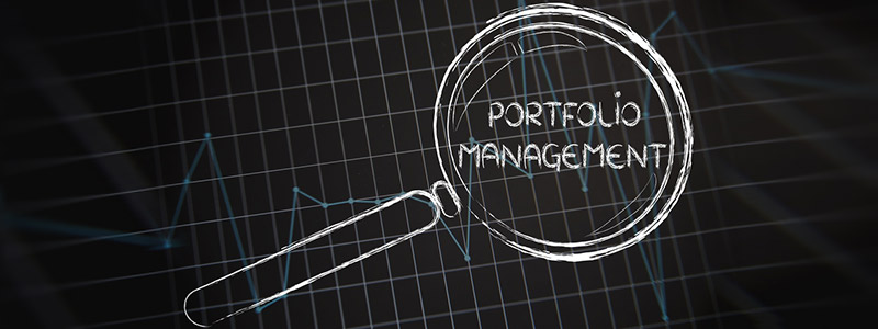 Fundamentals of Agile Portfolio Management