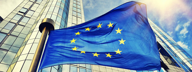 5 Key Factors in EU Businesses