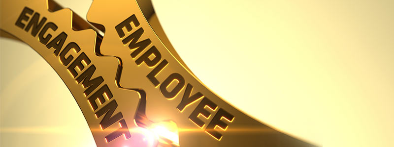 What Really Drives Employee Engagement